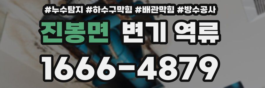 진봉면 변기 역류