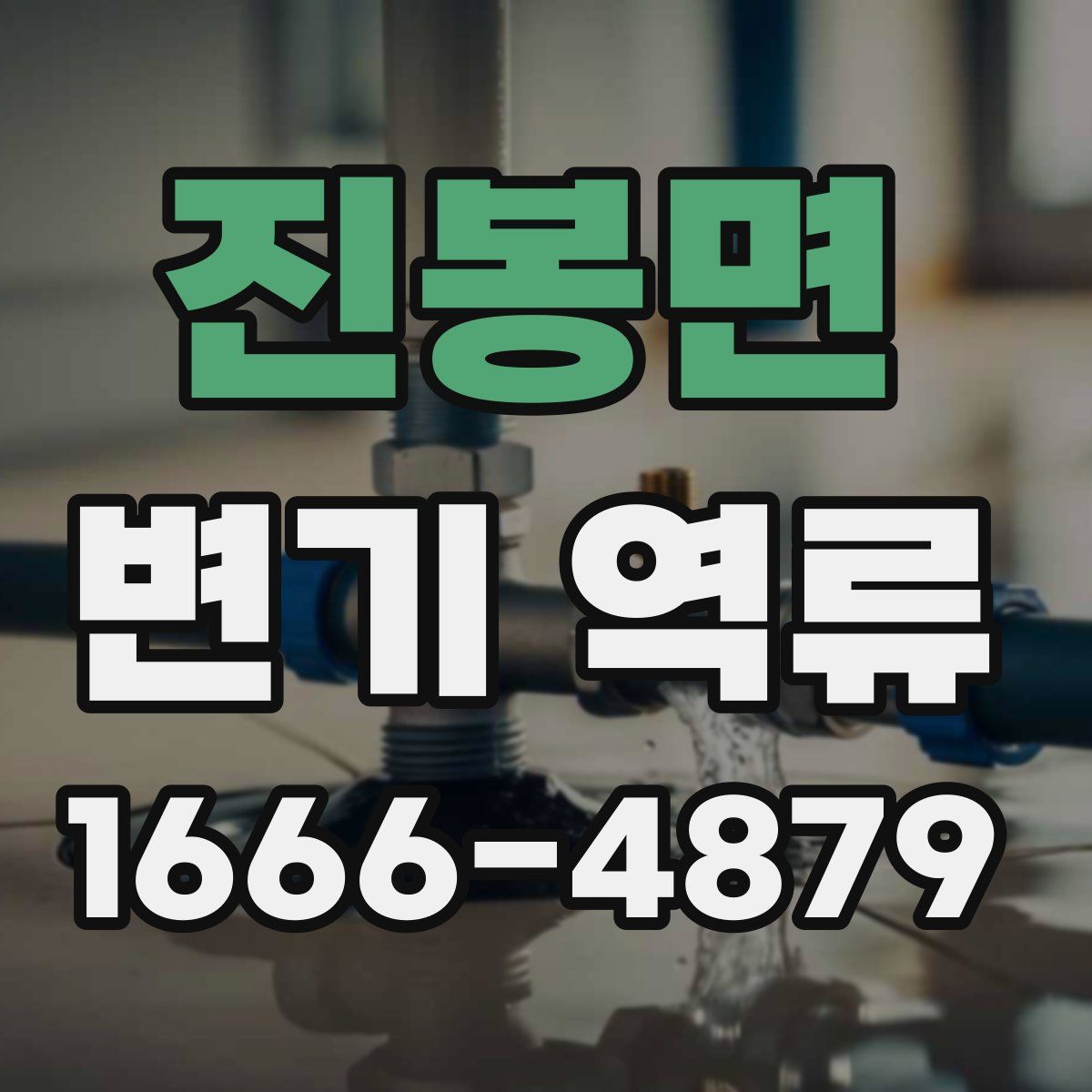 진봉면 변기 역류