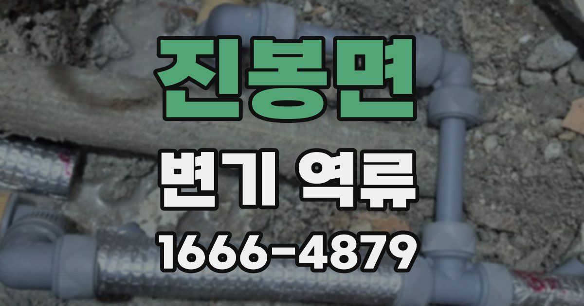 진봉면 변기 역류