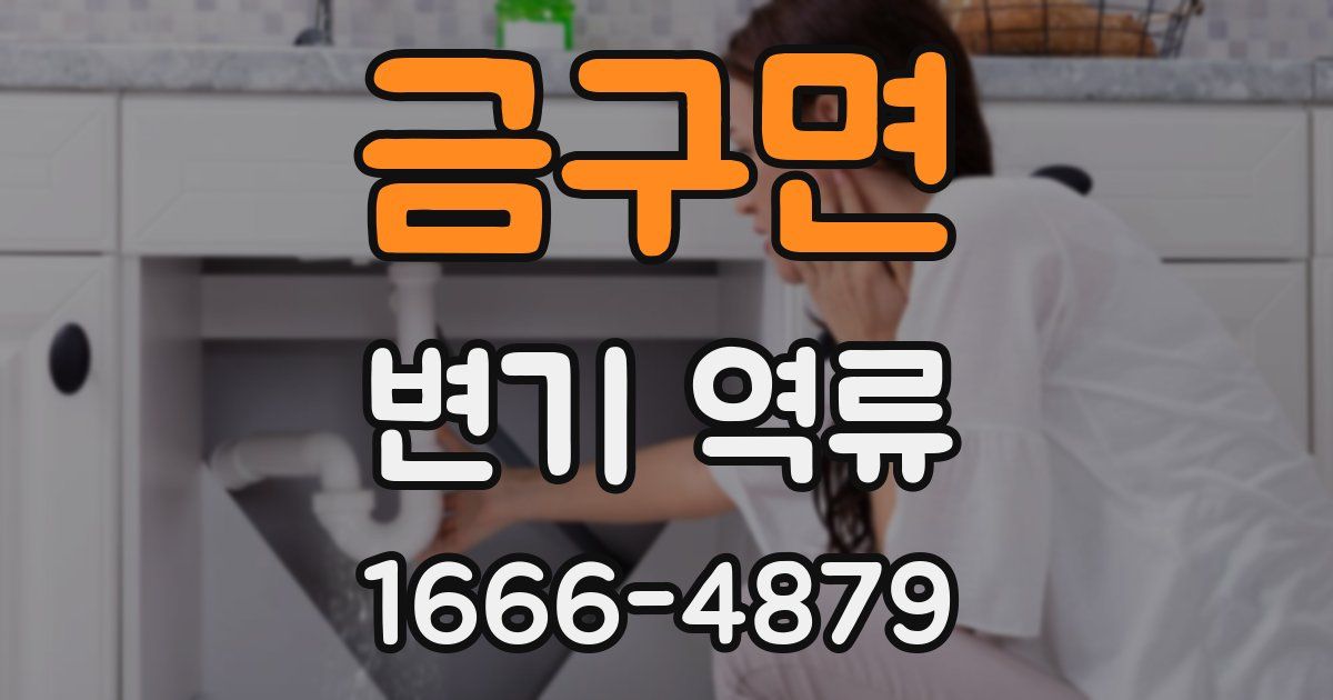 금구면 변기 역류