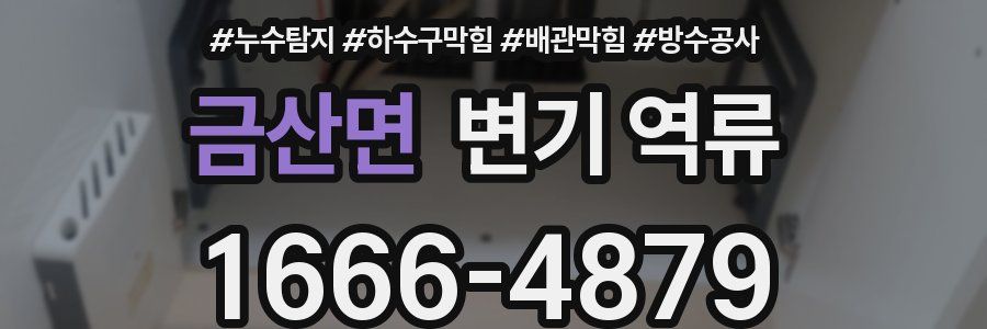 금산면 변기 역류