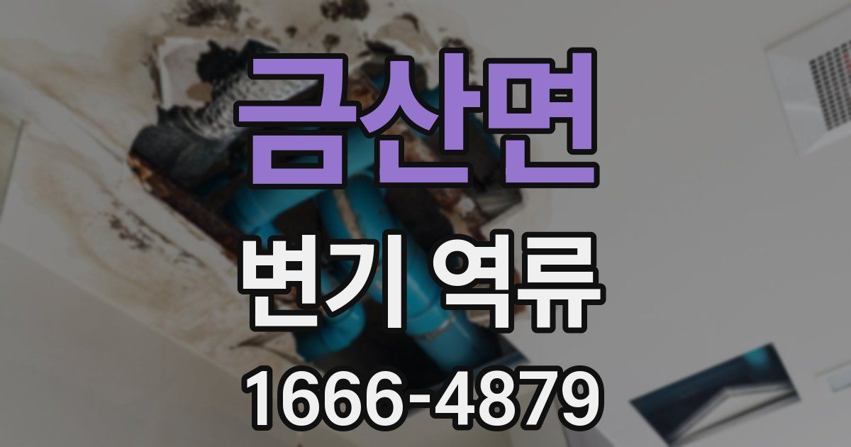 금산면 변기 역류