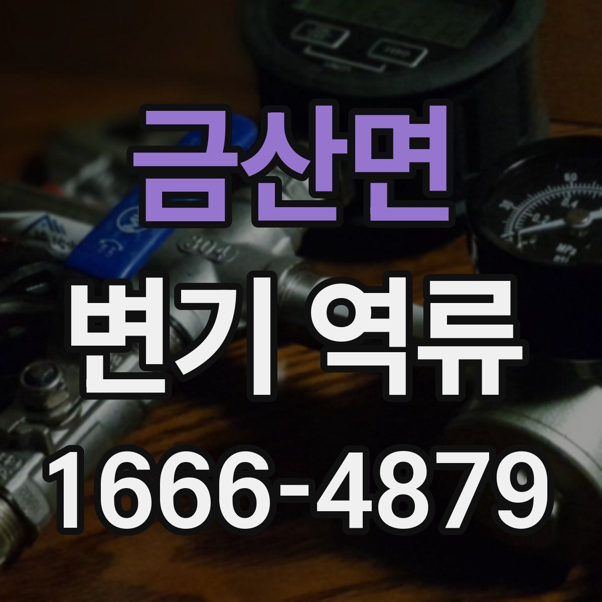 금산면 변기 역류
