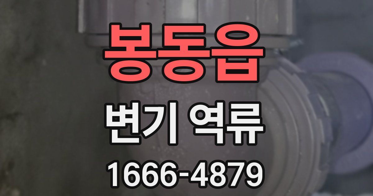 봉동읍 변기 역류