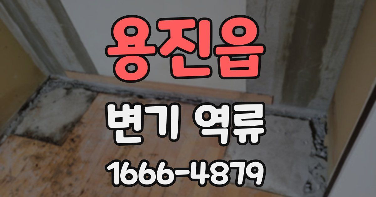 용진읍 변기 역류