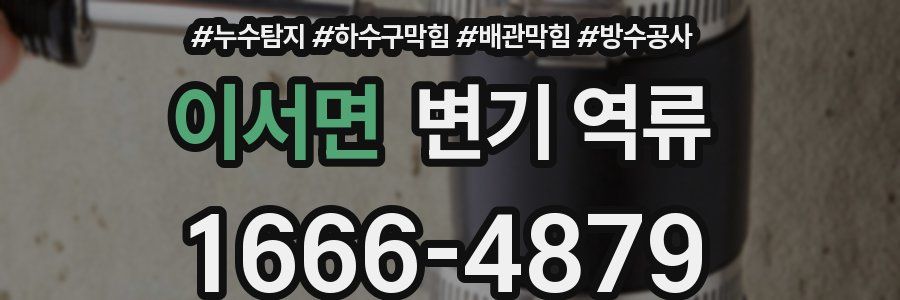 이서면 변기 역류
