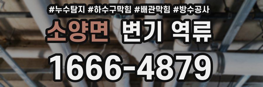 소양면 변기 역류