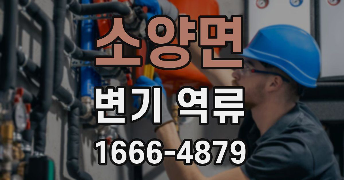 소양면 변기 역류