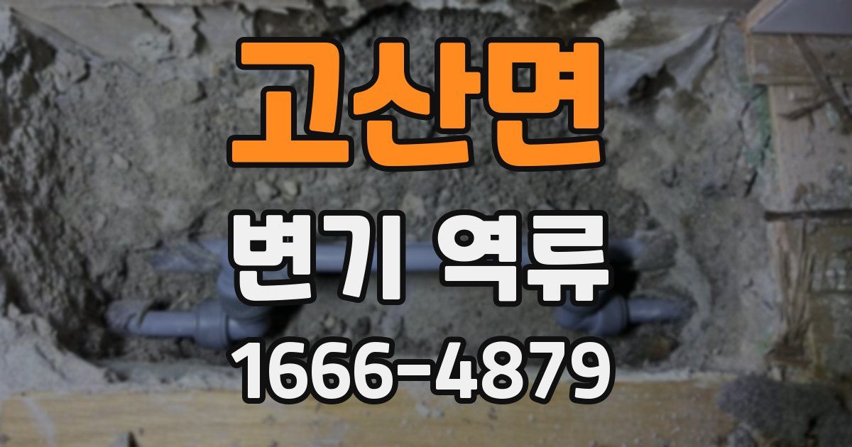 고산면 변기 역류