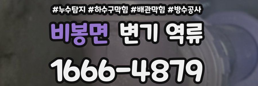 비봉면 변기 역류