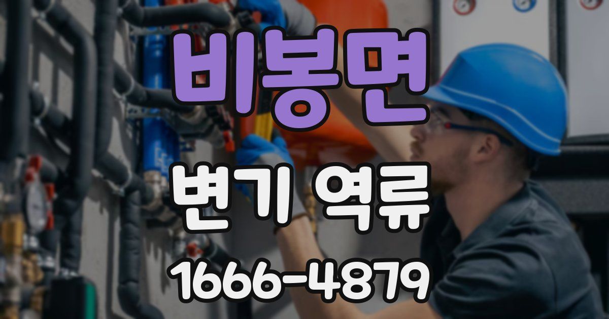 비봉면 변기 역류