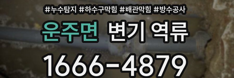 운주면 변기 역류