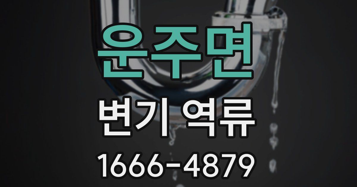 운주면 변기 역류
