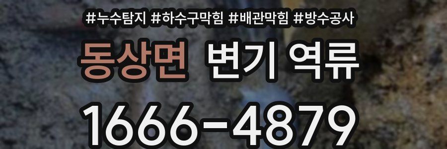 동상면 변기 역류