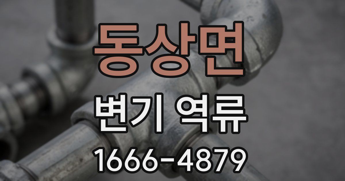 동상면 변기 역류
