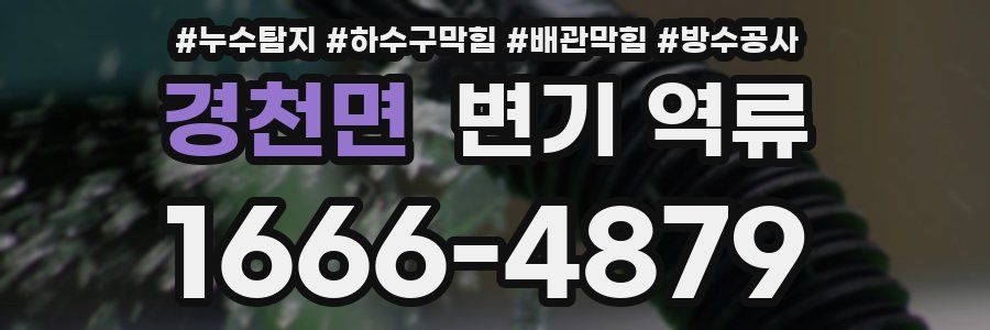 경천면 변기 역류