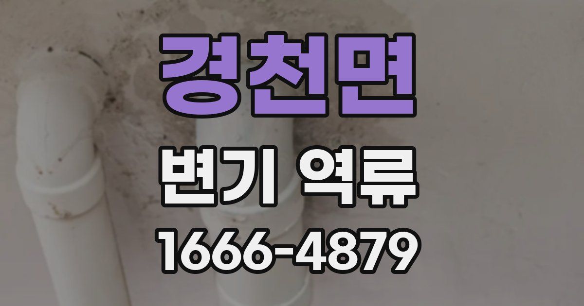 경천면 변기 역류