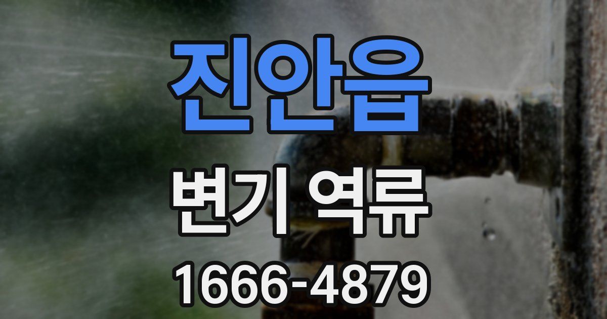 진안읍 변기 역류