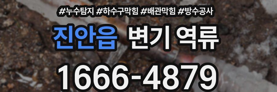 진안읍 변기 역류