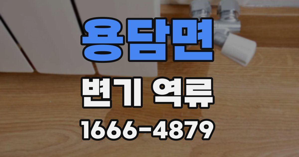 용담면 변기 역류