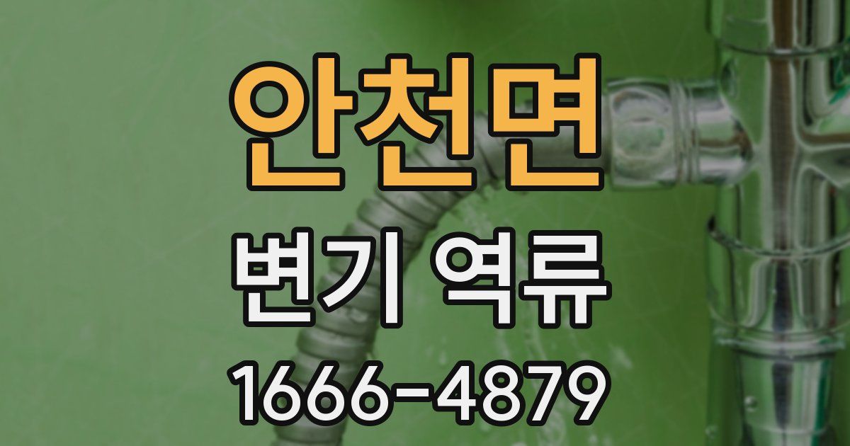 안천면 변기 역류