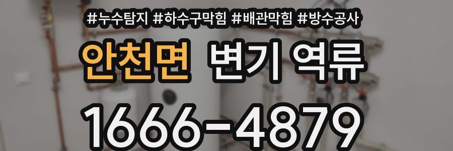 안천면 변기 역류