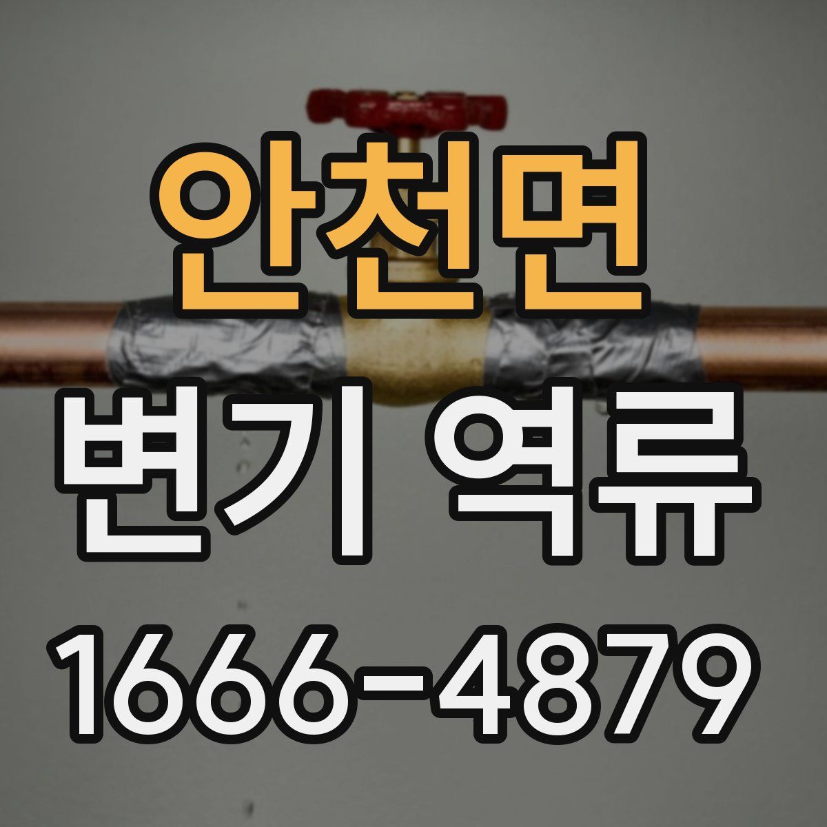 안천면 변기 역류