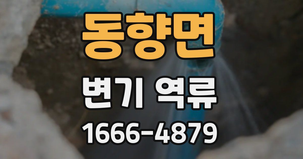동향면 변기 역류
