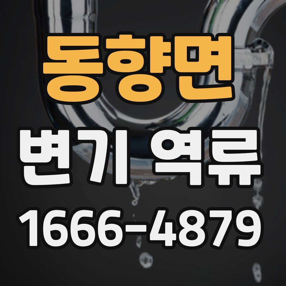 동향면 변기 역류