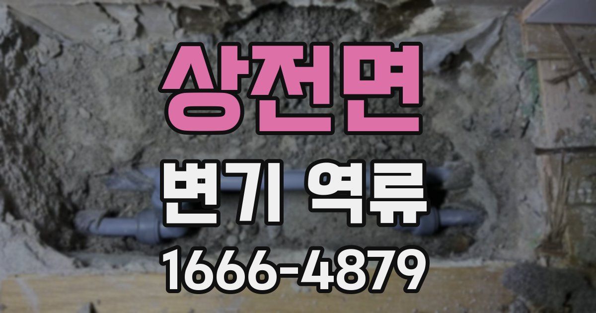 상전면 변기 역류