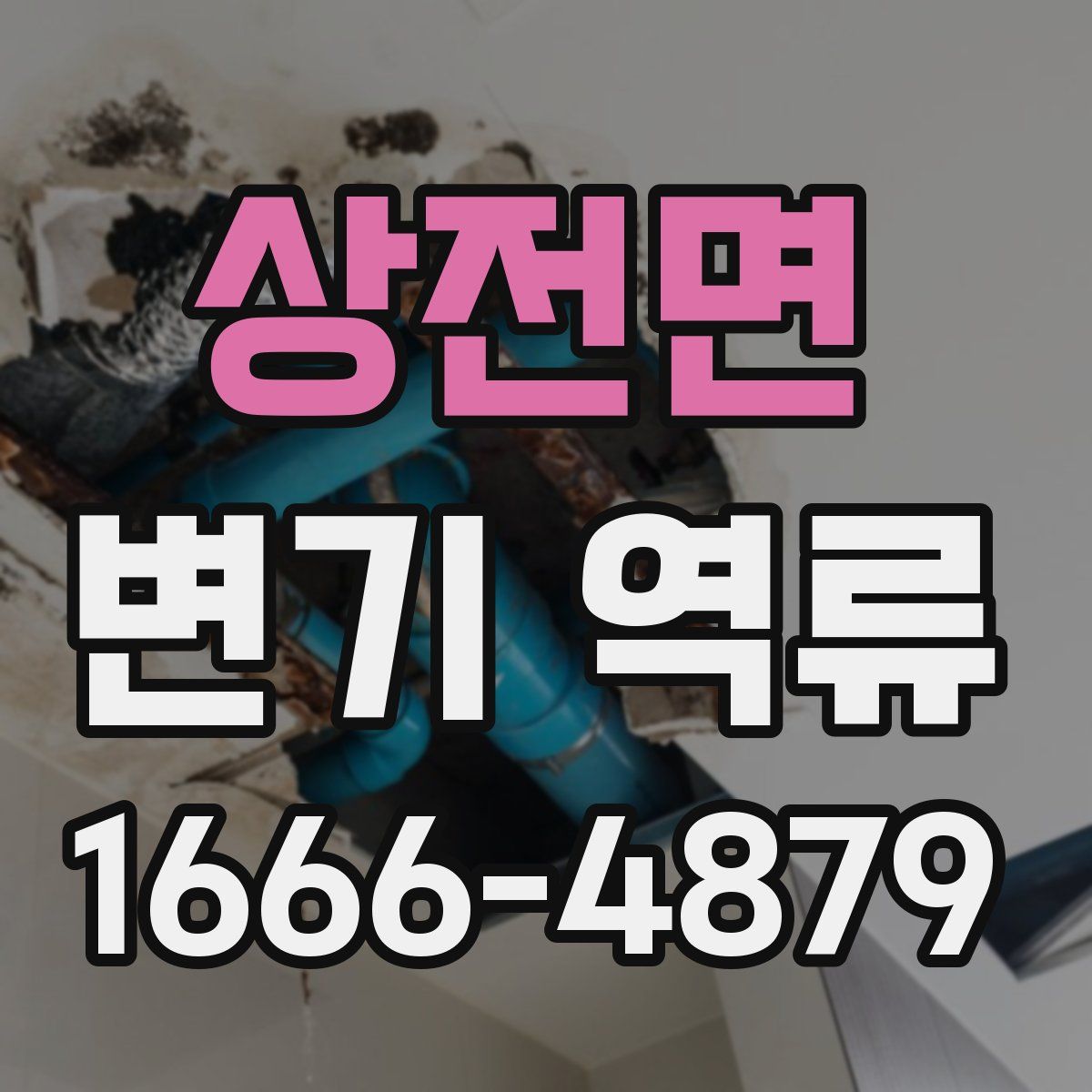 상전면 변기 역류