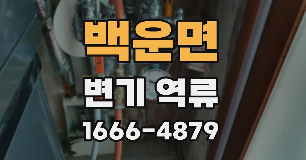 백운면 변기 역류