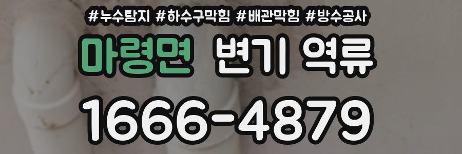 마령면 변기 역류