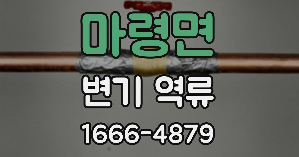 마령면 변기 역류