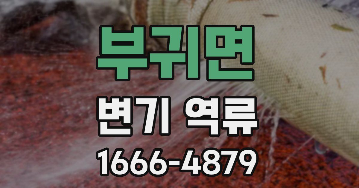 부귀면 변기 역류