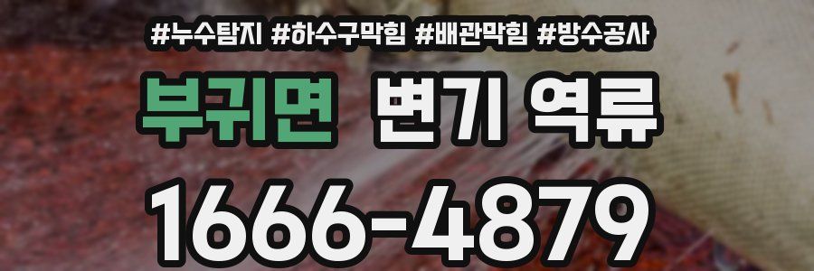 부귀면 변기 역류