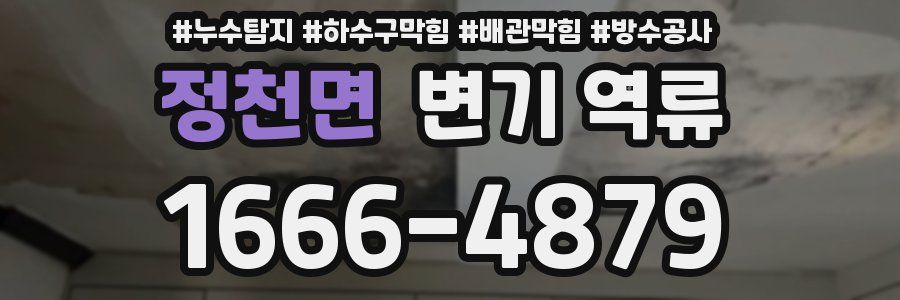 정천면 변기 역류