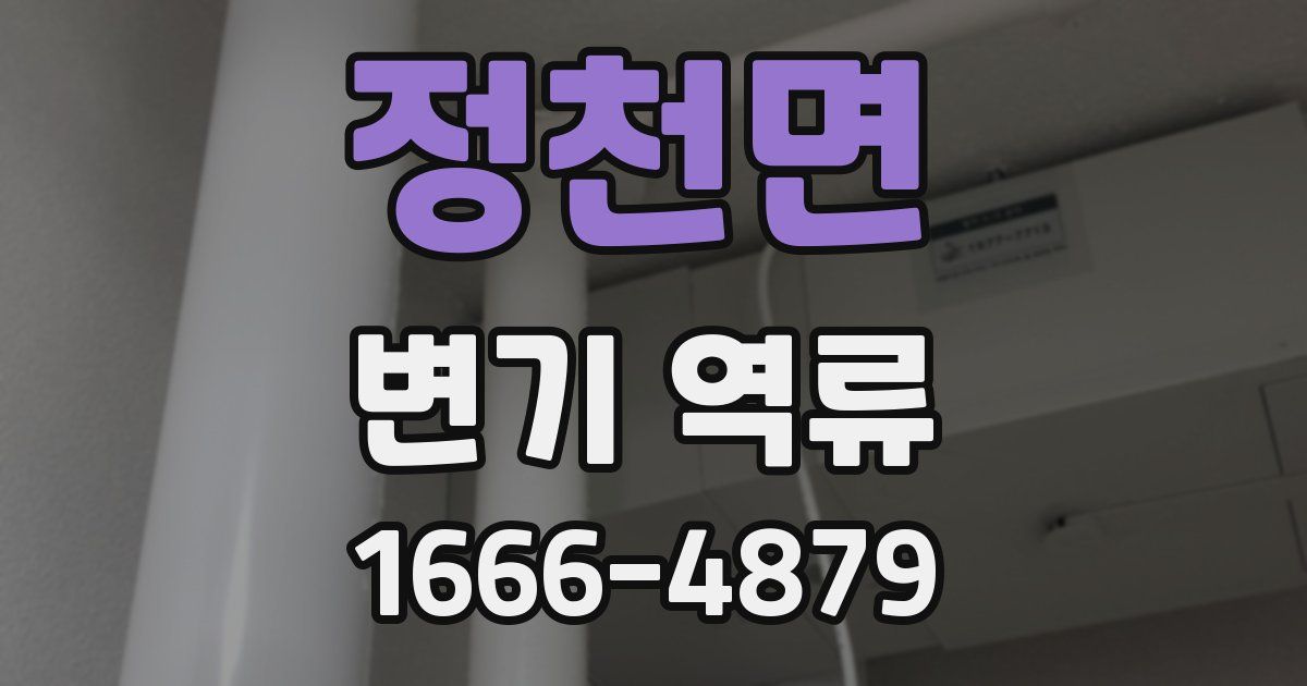 정천면 변기 역류