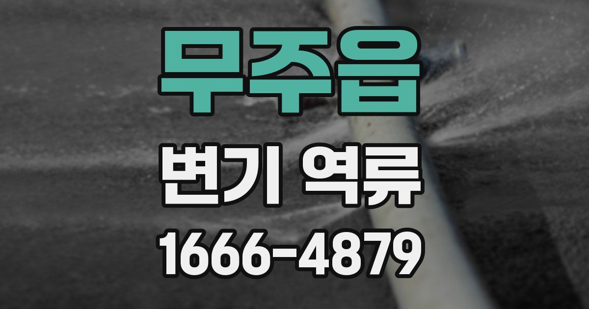 무주읍 변기 역류