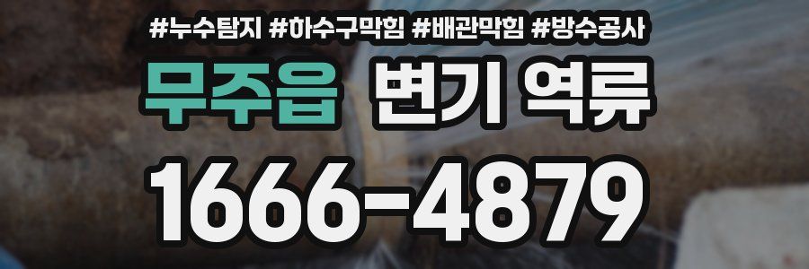 무주읍 변기 역류