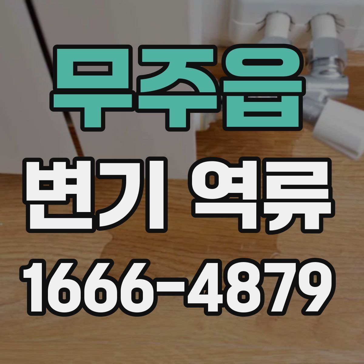 무주읍 변기 역류