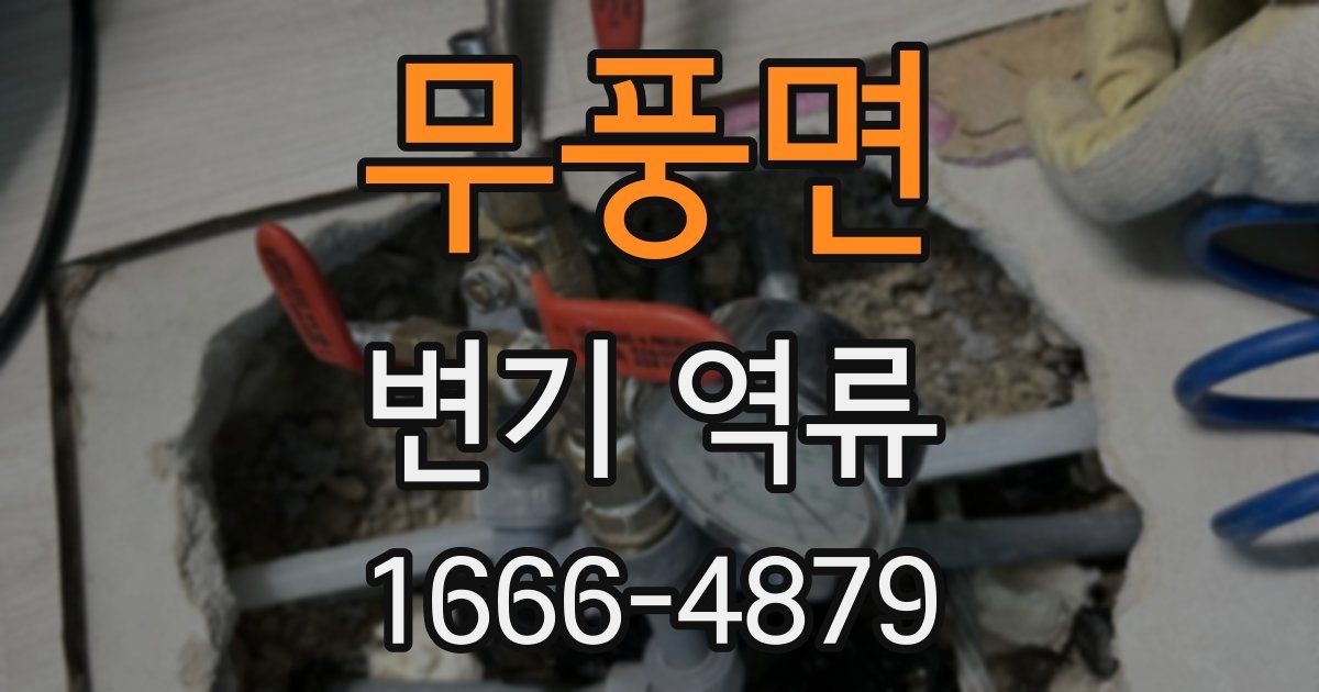 무풍면 변기 역류