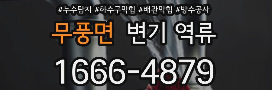 무풍면 변기 역류