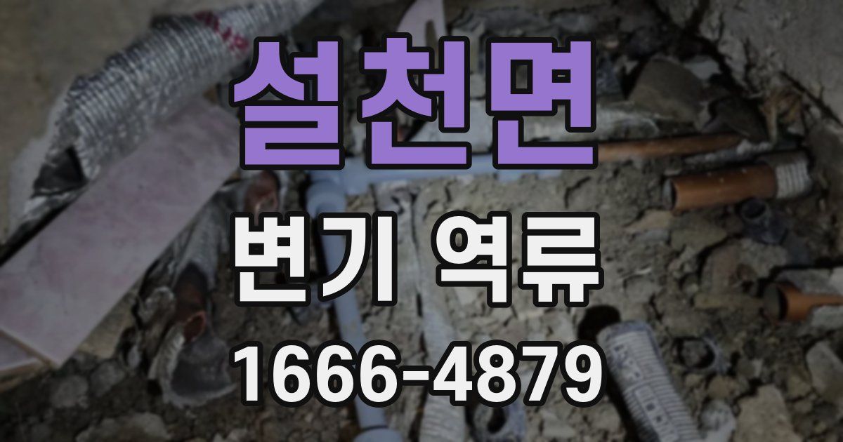 설천면 변기 역류