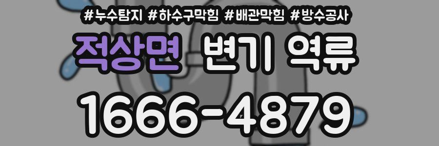 적상면 변기 역류