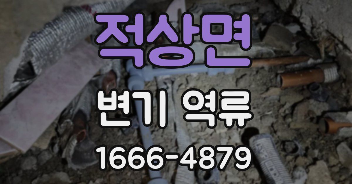 적상면 변기 역류