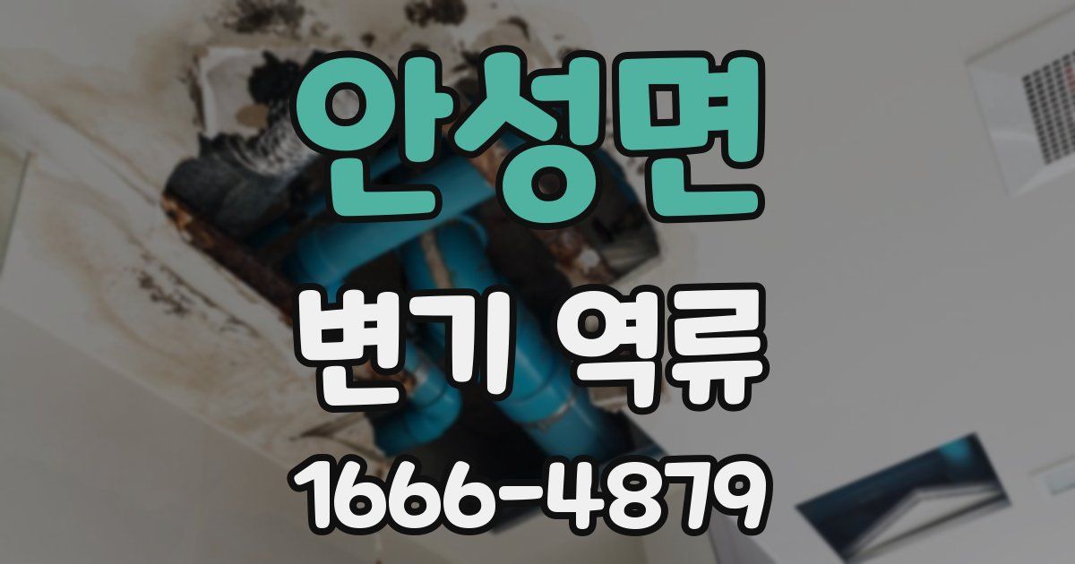 안성면 변기 역류
