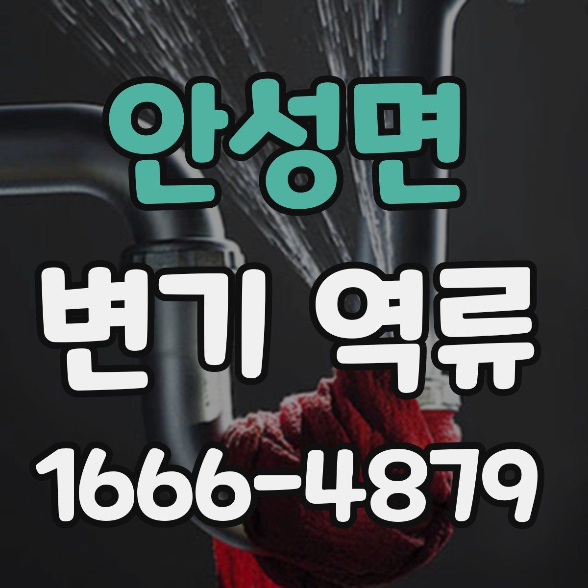 안성면 변기 역류