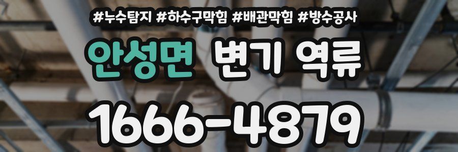안성면 변기 역류