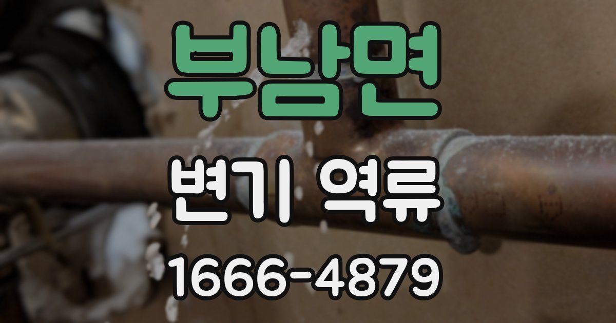 부남면 변기 역류